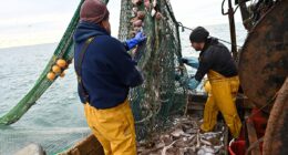 Fat fishermen catch a break after ban stopping them from going to sea if they were too heavy is lifted by the Transport Secretary