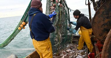 Fat fishermen catch a break after ban stopping them from going to sea if they were too heavy is lifted by the Transport Secretary