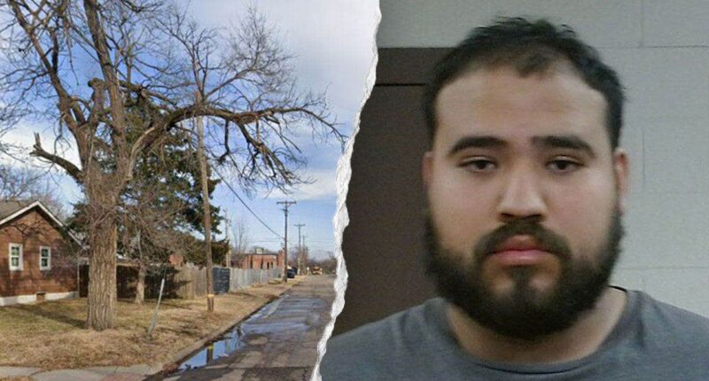 Father admits leaving handgun within reach of young daughters before toddler fatally shot baby sister