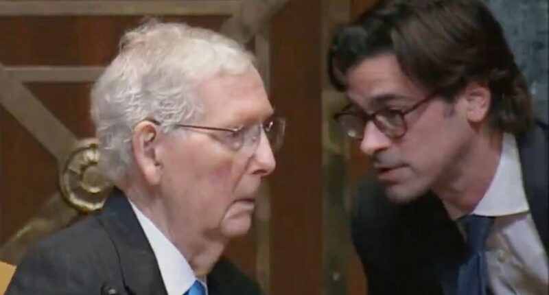 Fears for Sen. McConnell, 84, as Trump accuses staffer of manipulation