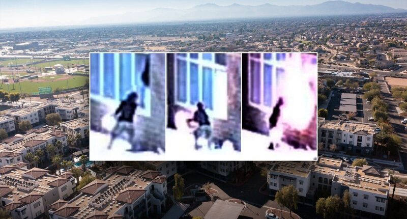 Feds say Arizona suspect vandalized ICE facility and attempted to ignite lobby area