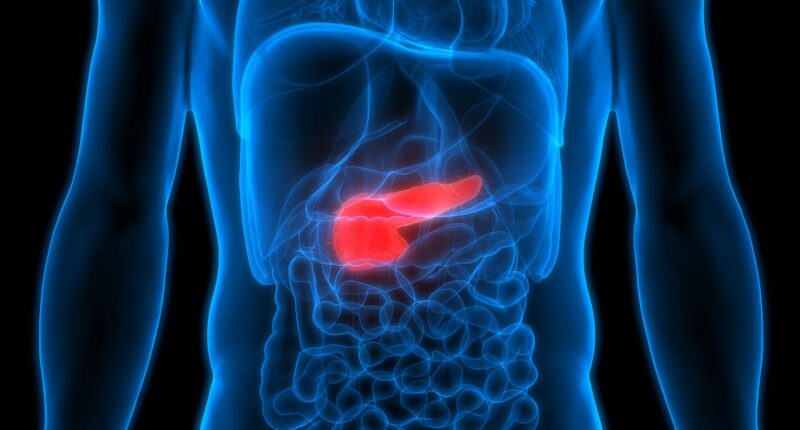 Finally a shred of hope for deadly pancreatic cancer victims as new drug gives precious extra months of life - 'unprecedented' breakthrough DOUBLES survival