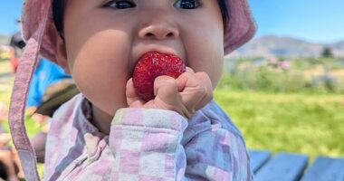 A mild illness after a family trip to New Zealand quickly spiralled into something far more sinister for one Sydney family, as a seemingly harmless cold led to a diagnosis so rare and aggressive it would change their daughter's life forever