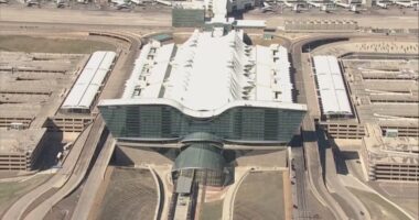 Flight evacuated after crew reports hitting pedestrian on runway at Denver airport