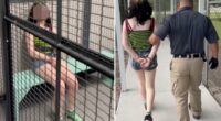 Florida 12-year-old accused of threatening teacher, saying she will 'shoot up' school