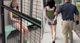 Florida 12-year-old accused of threatening teacher, saying she will 'shoot up' school