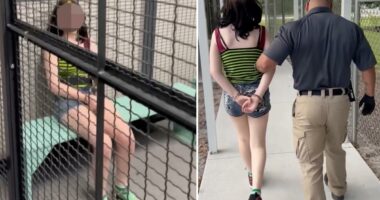 Florida 12-year-old accused of threatening teacher, saying she will 'shoot up' school