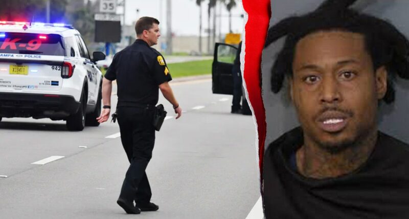 Florida deputies solve cold case murder after new DNA evidence and witnesses emerge, police say