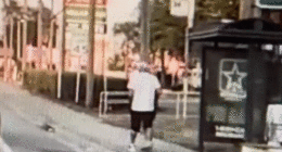 Florida man in 'No Christ No Life' T-shirt caught on video allegedly attacking, robbing woman, 82, at bus stop