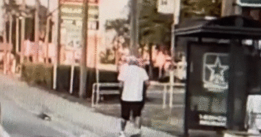 Florida man in 'No Christ No Life' T-shirt caught on video allegedly attacking, robbing woman, 82, at bus stop