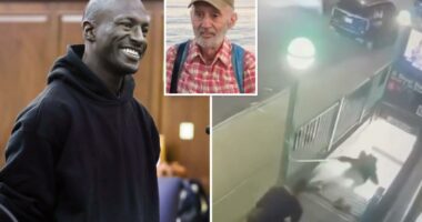 Footage captures horrific moment maniac fatally shoves retired elderly teacher, 76, down NYC subway stairs