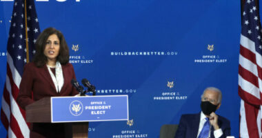 Former Biden Aide Slams Biden DOJ for Stopping JetBlue, Spirit Merger