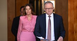 Former Treasury economist warns Australia faces biggest housing market correction in 40 years amid rate hikes and recession fears