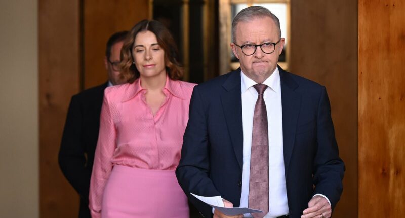 Former Treasury economist warns Australia faces biggest housing market correction in 40 years amid rate hikes and recession fears
