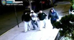 Fox News ‘Antisemitism Exposed’ Newsletter: Haters caught on video