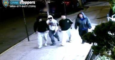 Fox News ‘Antisemitism Exposed’ Newsletter: Haters caught on video