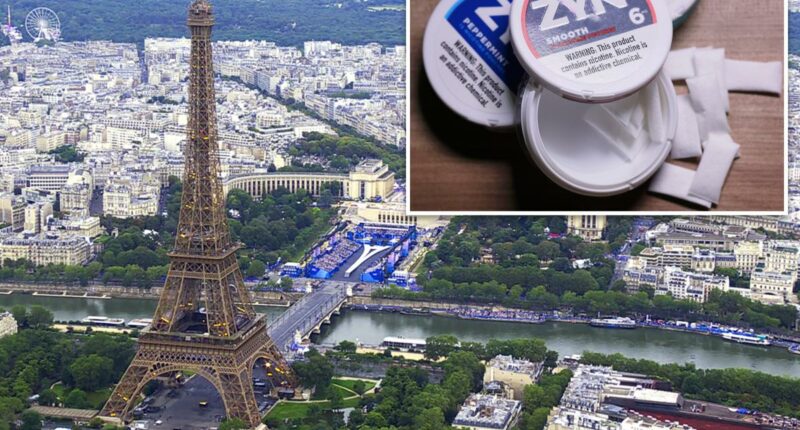 France bans Zyns and other nicotine pouches