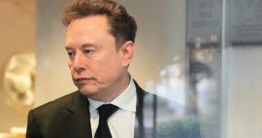 French prosecutors seek charges against Elon Musk and X over child sexual abuse images