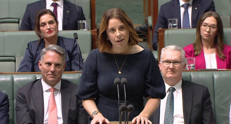 Fresh scrutiny for travel queen Labor politician Anika Wells