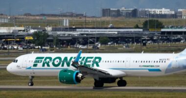 Frontier Airlines plane strikes, kills pedestrian on Denver Airport runway: report