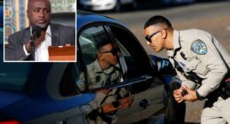 Fury at LA City Hall plot to deploy civilian army to replace traffic cops
