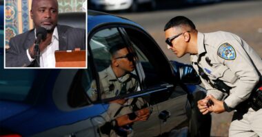 Fury at LA City Hall plot to deploy civilian army to replace traffic cops