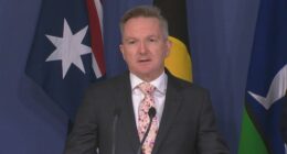 Energy Minister Chris Bowen