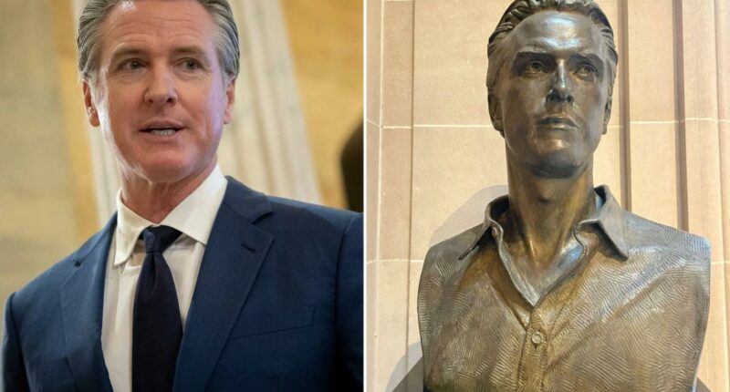 Gavin Newsom ripped by Democrats for $20M 'Governor's legacy fund'