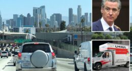 Gavin Newsom torn to shreds over report on California's population