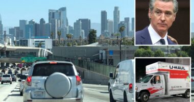 Gavin Newsom torn to shreds over report on California's population