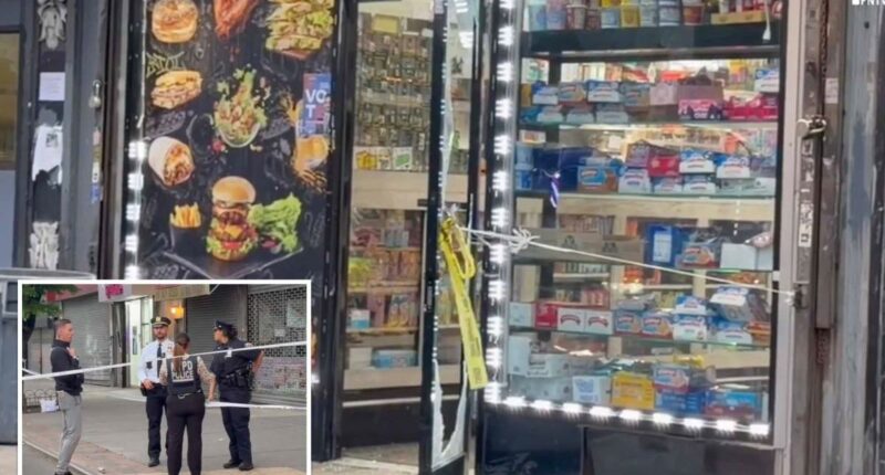 Girl, 5, grazed in ear by bullet during gang gun fight on NYC street
