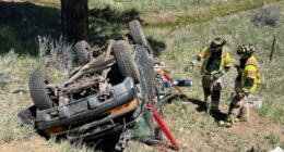 Girl, 5, spent a DAY in wrecked truck after crash killed both parents