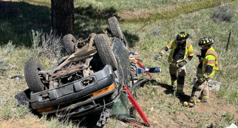 Girl, 5, spent a DAY in wrecked truck after crash killed both parents