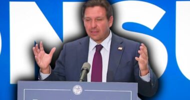 Gov. DeSantis signs 6 more Florida laws. Here’s the full lineup