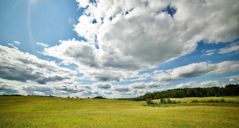 Green burial site plans tear apart rural Minnesota town