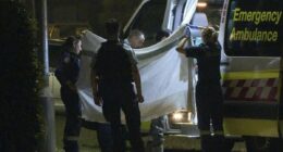 Grim sight at home where three people were found dead