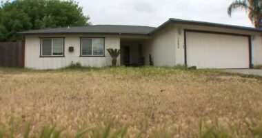 Hanford, California man Vincent Diaz kills ex-wife's boyfriend Adrian Valdovinos before shooting himself in murder-suicide