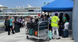 Hantavirus and norovirus outbreaks on cruises raise alarms for passengers. How to avoid illness
