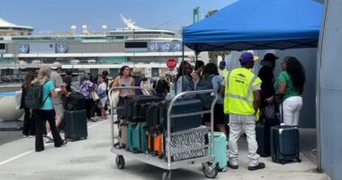 Hantavirus and norovirus outbreaks on cruises raise alarms for passengers. How to avoid illness