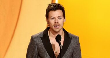 Harry Styles and Zoe Kravitz's early wedding plans 'revealed'