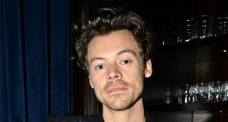 Harry Styles' huge net worth revealed