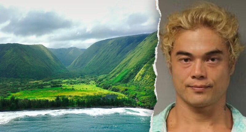 Hawaii police hunt 'armed and extremely dangerous' man suspected in three killings on the Big Island