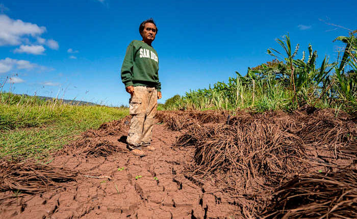 Hawaii’s worst flooding in 20 years leaves farmers struggling and fewer veggies at the market