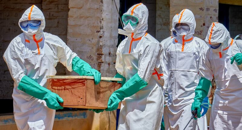 Highly infectious strain of Ebola with no vaccine 'may be in Italy'