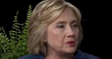 Hillary Clinton tried to BAN comedian from asking about her emails