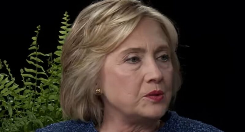 Hillary Clinton tried to BAN comedian from asking about her emails