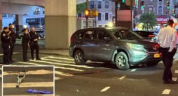 Hit-run truck strikes NYC pedestrian -- leaving helpless victim to be finished off by passing SUV