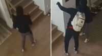 Horrifying surveillance video shows armed burglars attacking homeowner inside his house