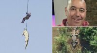 Hotel boss eaten by crocodile is identified