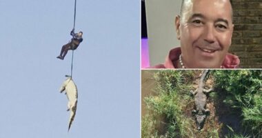 Hotel boss eaten by crocodile is identified